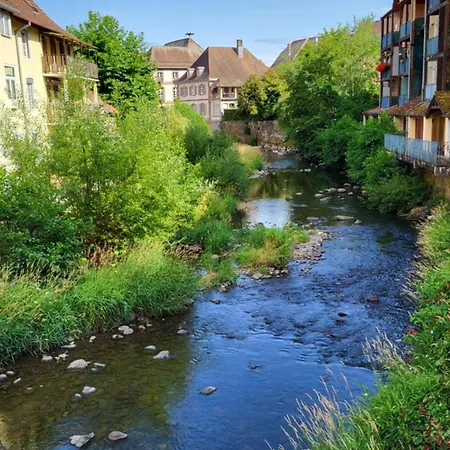 Violette Et Pierrot * Masevaux-Niederbruck