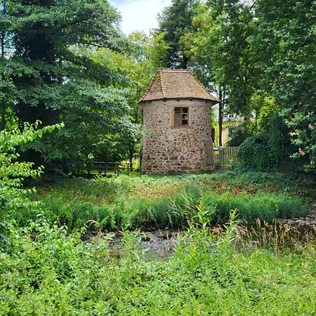 Violette Et Pierrot Masevaux-Niederbruck