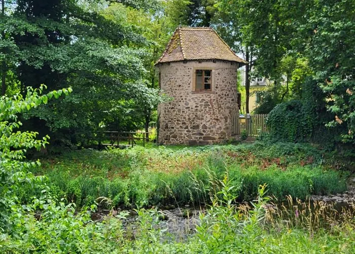 Violette Et Pierrot Masevaux-Niederbruck